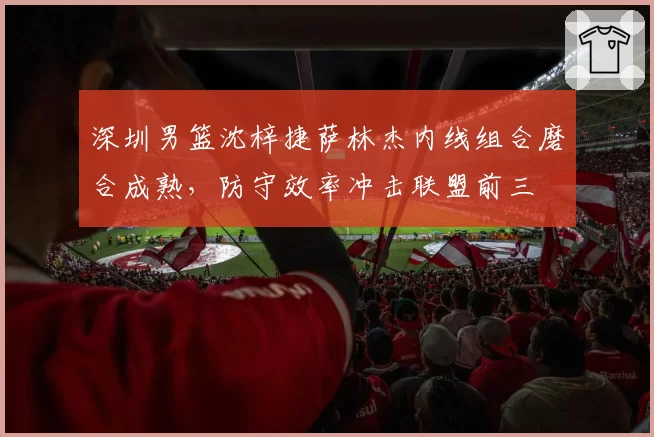 深圳男篮沈梓捷萨林杰内线组合磨合成熟,防守效率冲击联盟前三
