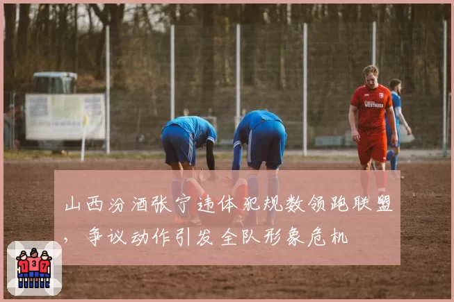 山西汾酒张宁违体犯规数领跑联盟，争议动作引发全队形象危机