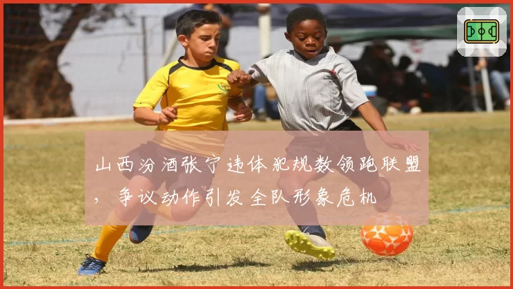 山西汾酒张宁违体犯规数领跑联盟,争议动作引发全队形象危机